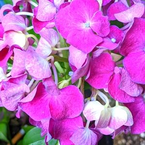 Closet Clear out!!!!